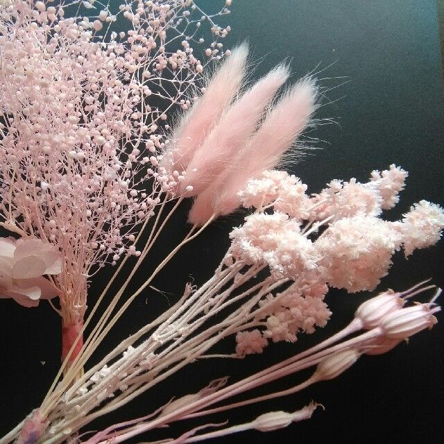 ♬＊*ピンク花材②*＊♬ハーバリウム花材 ハンドメイドのフラワー/ガーデン(プリザーブドフラワー)の商品写真