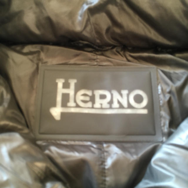 HERNO(ヘルノ)のヘルノダウンジャケットグレー42正規店購入モンクレールタトラスカナダグース   レディースのジャケット/アウター(ダウンジャケット)の商品写真