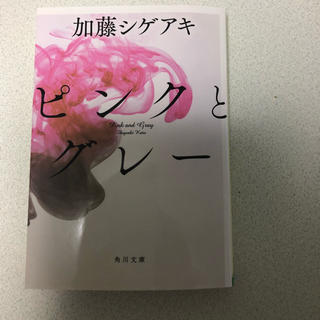 ピンクとグレー 加藤シゲアキ(文学/小説)