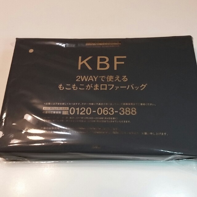 KBF(ケービーエフ)のspring ２月号付録 レディースのバッグ(ショルダーバッグ)の商品写真