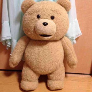 TED 実物大(ぬいぐるみ)