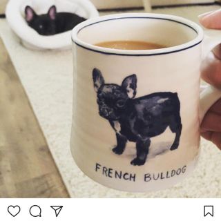 アンソロポロジー(Anthropologie)の新品  送料込  フレンチブルドック  マグカップ(犬)