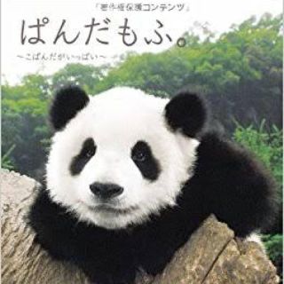 すぅめろ🐼さん専用