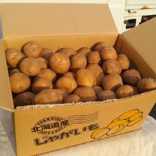 みい様向け出品　じゃがいも詰め合わせ二種＋(野菜)