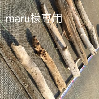 流木  2セット  maru様専用(その他)