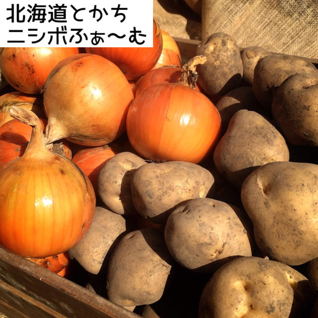 セール中‼️北海道とかちニシボふぁ〜む じゃがたまセット 10kg 食品/飲料/酒の食品(野菜)の商品写真
