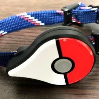 ポケモン(ポケモン)のポケモンゴープラス（最終値下げ）えり様専用(携帯用ゲーム機本体)