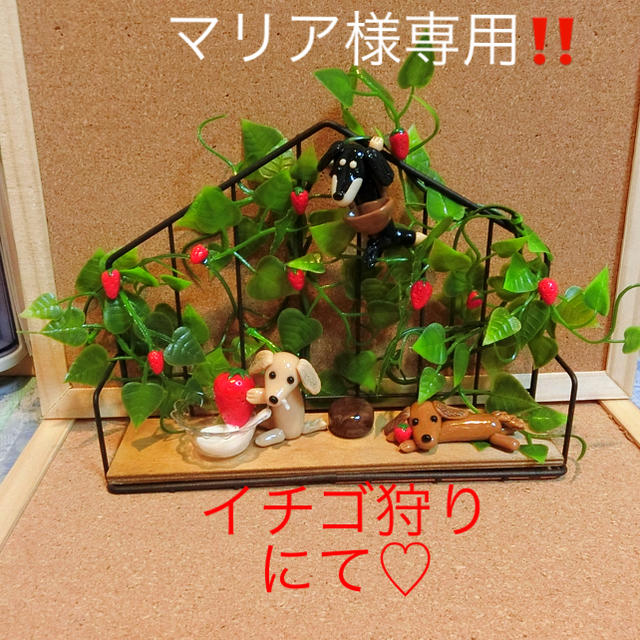 61%OFF!】 マリア様専用ページ helgapizzeria.com