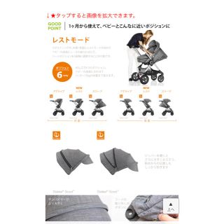 ストッケ(Stokke)のストッケスクート2田丸麻紀さんも愛用(ベビーカー/バギー)