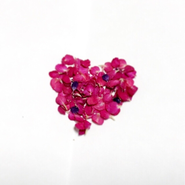 アリッサム  忘れな草 押し花 ピンク 赤紫 白 青 即購入可能 ハンドメイドの素材/材料(各種パーツ)の商品写真