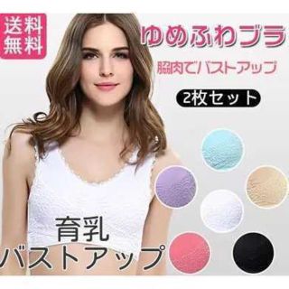 ナイトブラ新品 ナイトブラ育乳 2枚セット ブラジャー新品 ローズ(ブラ)