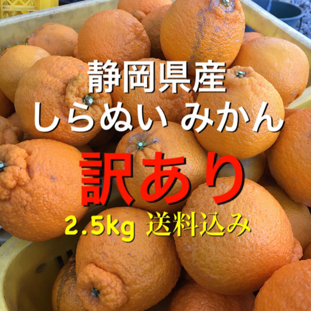 静岡県産 しらぬい みかん 訳あり 2.5kg 送料込み 食品/飲料/酒の食品(フルーツ)の商品写真