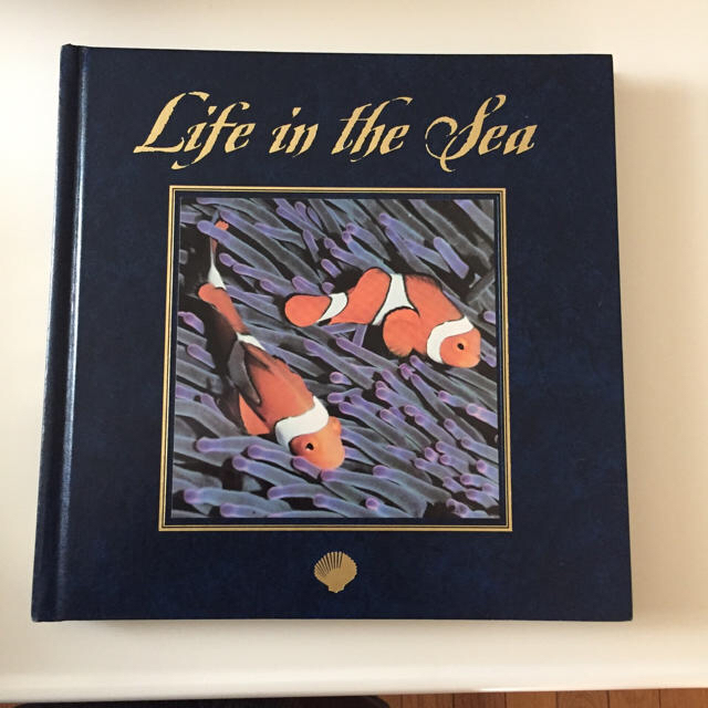 Life in the sea  海の生物図鑑 エンタメ/ホビーの本(洋書)の商品写真
