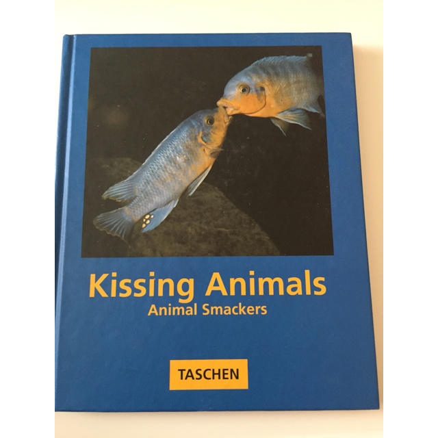 Kissing Animals -いろいろな動物のキスシーン - エンタメ/ホビーの本(趣味/スポーツ/実用)の商品写真