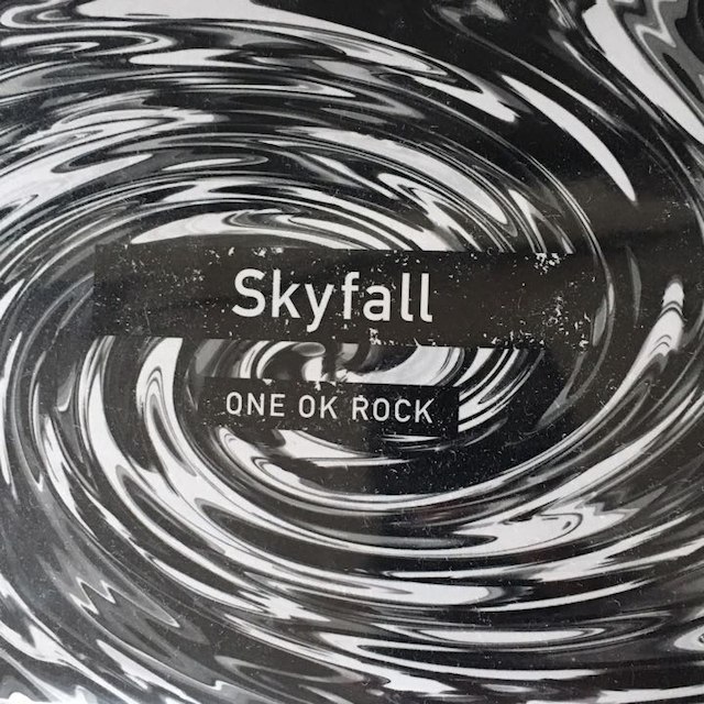 ONE OK ROCK / Sky fall CD 一度のみ開封