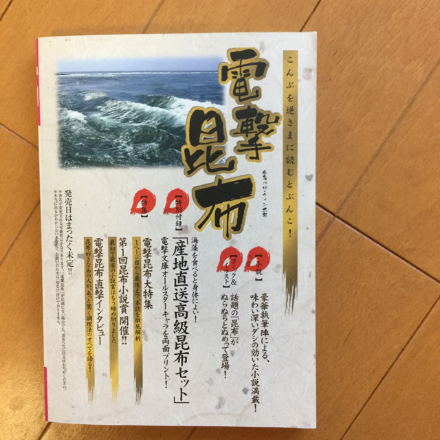 アスキー・メディアワークス(アスキーメディアワークス)の電撃hpa エンタメ/ホビーの雑誌(アート/エンタメ/ホビー)の商品写真