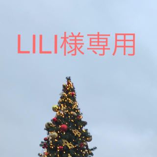 Li Li様専用(クラッチバッグ)