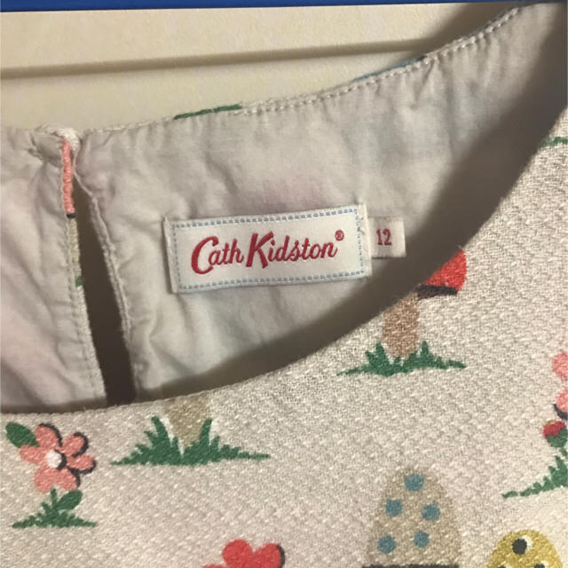 cathkidson mushroom ワンピース 1