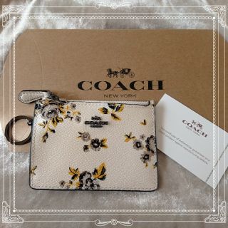 コーチ(COACH)の新品COACH コーチ コイン&パスケース オフホワイト(パスケース/IDカードホルダー)