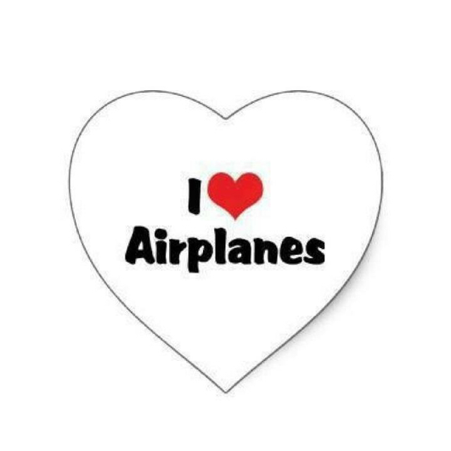 飛行機 模型 二機セット エンタメ/ホビーのおもちゃ/ぬいぐるみ(模型/プラモデル)の商品写真