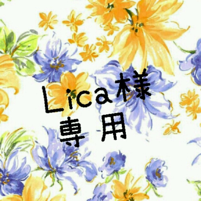 ☆Lica様専用☆ レディースのアクセサリー(ピアス)の商品写真