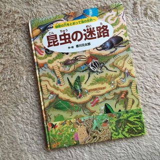 昆虫の迷路  美品(絵本/児童書)