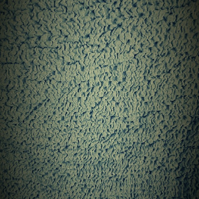 ベルメゾン(ベルメゾン)のソファーカバー ２人掛け用 インテリア/住まい/日用品のソファ/ソファベッド(ソファカバー)の商品写真