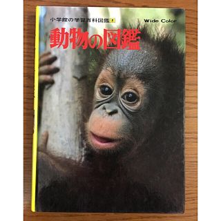 小学館の学習百科図鑑     動物の図鑑(語学/参考書)