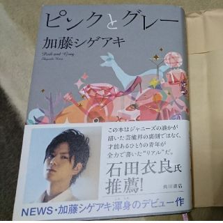 ニュース(NEWS)のピンクとグレー (文学/小説)