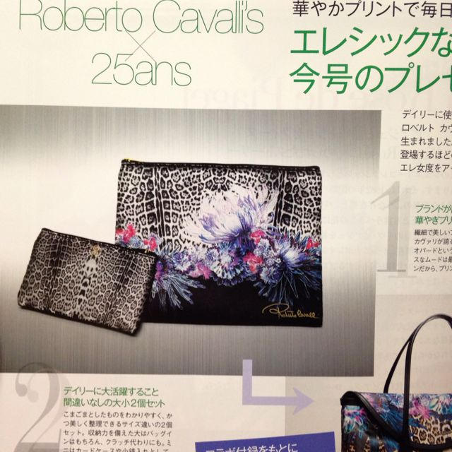 Roberto Cavalli(ロベルトカヴァリ)のロベルトカヴァリ☆ポーチセット レディースのファッション小物(ポーチ)の商品写真