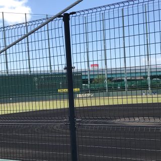 ハンシンタイガース(阪神タイガース)のねっこ様専用(スポーツ選手)