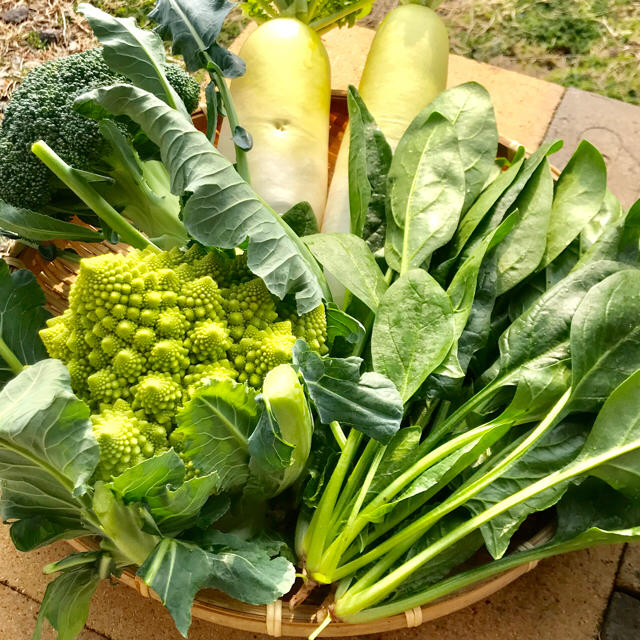 野菜詰め合わせ☆農家直送☆ 食品/飲料/酒の食品(野菜)の商品写真