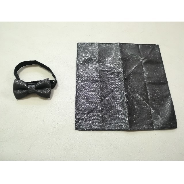 H&M(エイチアンドエム)の蝶ネクタイ　ポケットチーフ メンズのファッション小物(ネクタイ)の商品写真