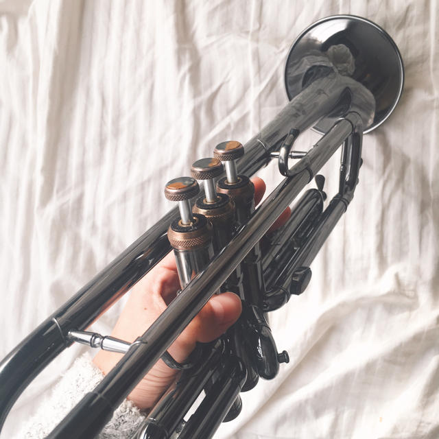 キャノンボール  トランペット 黒 ブラックニッケル +ラニオンブルース ケース 楽器の管楽器(トランペット)の商品写真