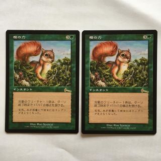 マジックザギャザリング(マジック：ザ・ギャザリング)のMTG【JPN】樫の力［ULG］2枚(シングルカード)