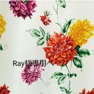 Ray様専用ページ(その他)