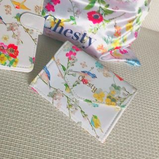 チェスティ(Chesty)のchasty❤︎コインケース❤︎未使用、良柄です^ ^(コインケース)