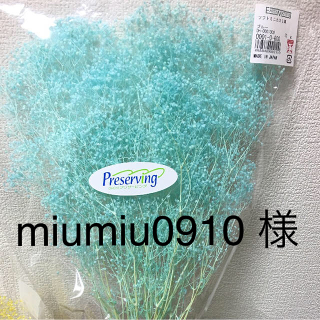 miumiu0910 様 専用ページ ハンドメイドのフラワー/ガーデン(プリザーブドフラワー)の商品写真