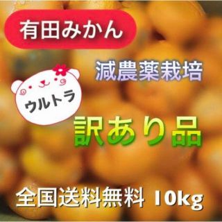 ミスチバス様専用【有田みかん】減農薬　モリ・カケ・スパ・ブラックボックス(フルーツ)