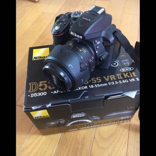 ニコン(Nikon)のニコン d5300(その他)