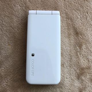 ソフトバンク(Softbank)のSoftBank ガラケー 301P(携帯電話本体)