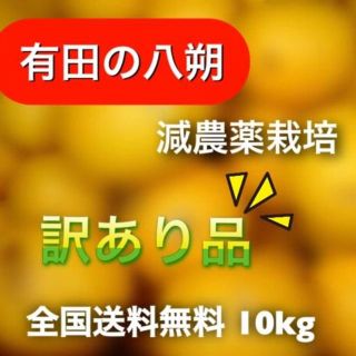 【有田の八朔】減農薬10kg モリ・カケ・スパ・ブラックボックス(フルーツ)