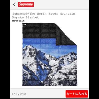 シュプリーム(Supreme)のsupreme north face ブランケット(寝袋/寝具)