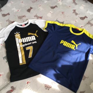 プーマ(PUMA)の半袖Tシャツ(Tシャツ/カットソー)