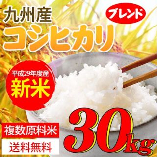 九州産 コシヒカリ ３０kg(米/穀物)