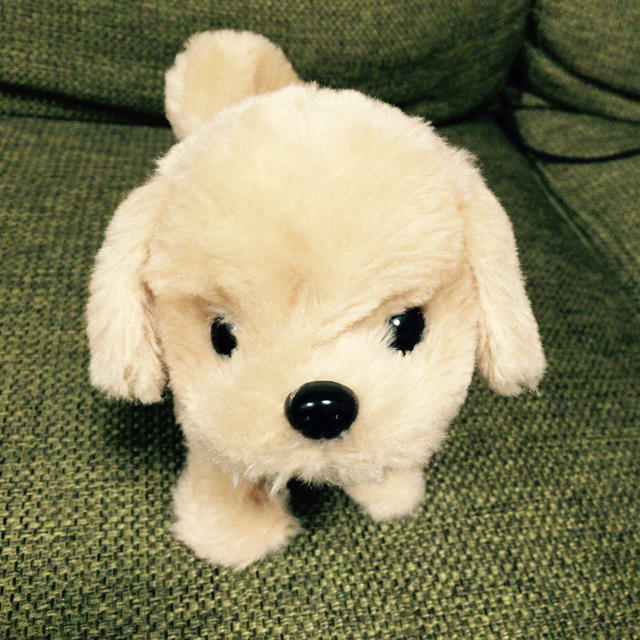 動く犬のおもちゃ キッズ/ベビー/マタニティのおもちゃ(ぬいぐるみ/人形)の商品写真