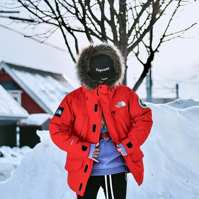 THE NORTH FACE - ザ ノースフェイス アンタークティカ 希少Sの通販 by