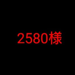 2580様専用(その他)