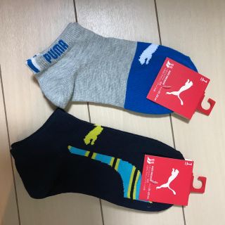 プーマ(PUMA)のプーマ 男児靴下(靴下/タイツ)