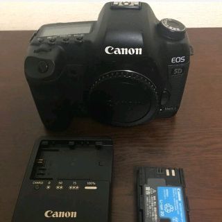 ニコン(Nikon)のcanon　eos 5d mark2(その他)